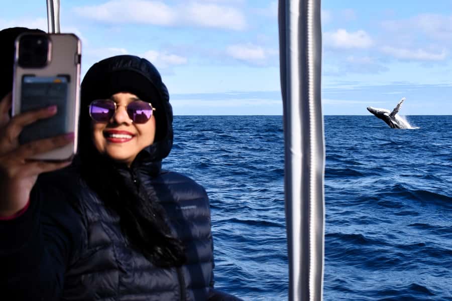 From Fremantle: 2-Hour Luxury Whale-Watching Cruise - Key points at a glance
