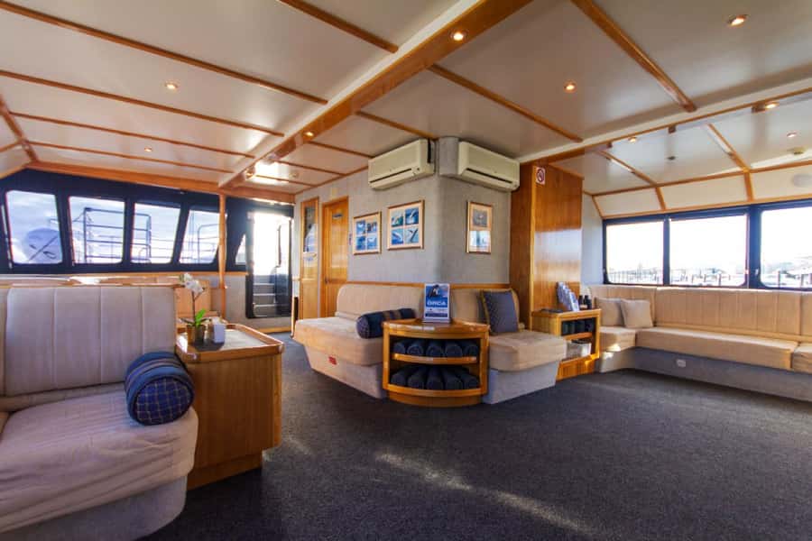 From Fremantle: 2-Hour Luxury Whale-Watching Cruise - Is $67 good value?