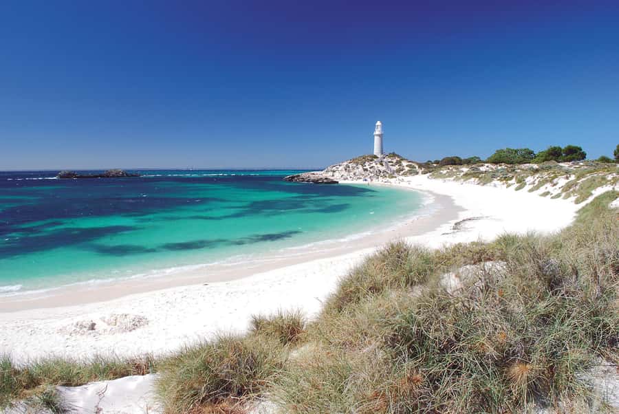 From Fremantle: Rottnest Island Ferry and Bike Day Tour - Should you book the ferry and bike package?