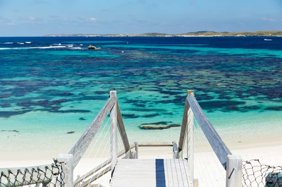 From Fremantle: Rottnest Island Ferry & Bus Day Tour - Who should book this tour?