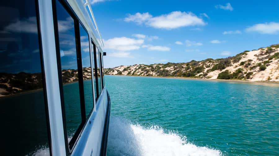 From Goolwa: Half-Day Coorong Experience - Starting at Goolwa’s historic wharf