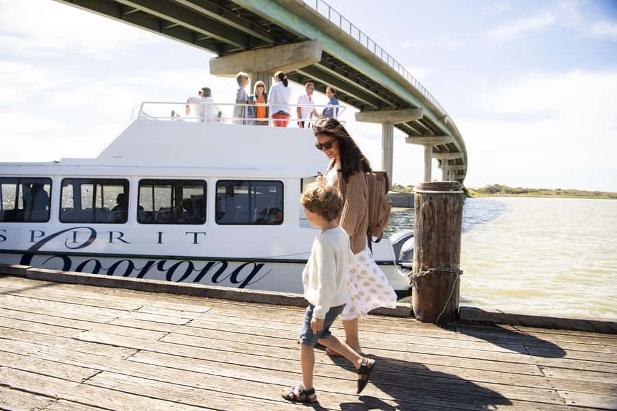 From Goolwa: Half-Day Coorong Experience - Looking for seals near the river mouth
