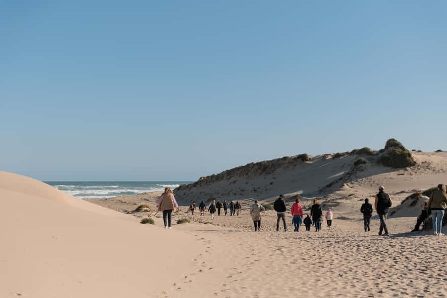 From Goolwa: Half-Day Coorong Experience - Crossing into Coorong and Storm Boy country