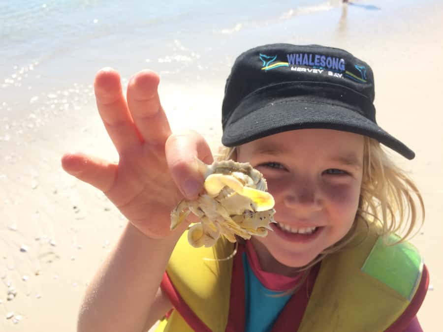 From Hervey Bay: Half-Day K'gari Fraser Island Beach Cruise - Plenty to do during the beach stop