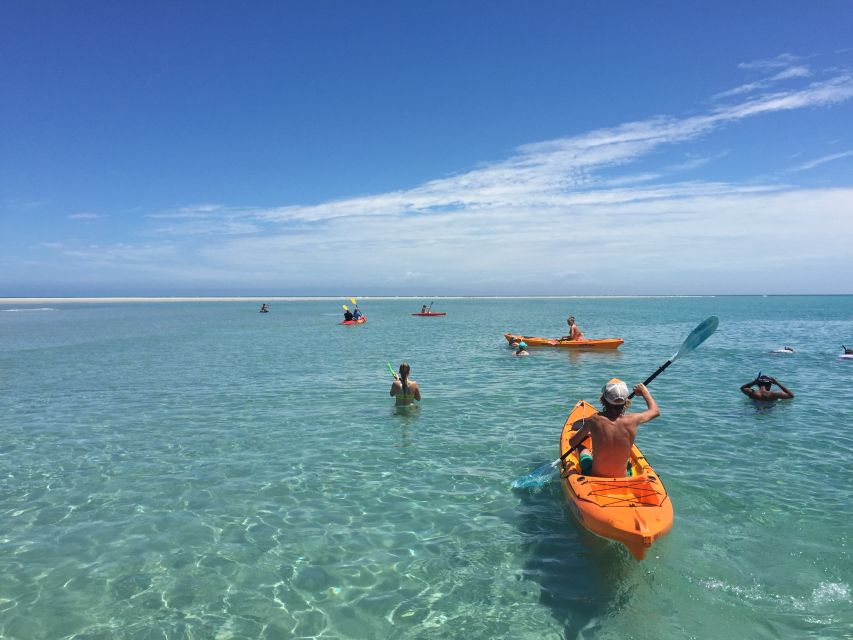 From Hervey Bay: Half-Day K'gari Fraser Island Beach Cruise - What the $113 price really includes