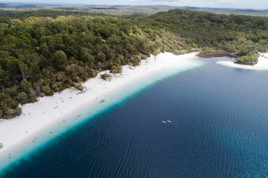 From Hervey Bay: K'gari, Fraser Island Full-Day Coach Tour - Why this is the easiest way to see K’gari in one day