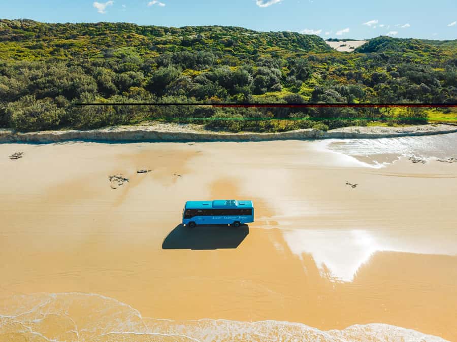 From Hervey Bay: K'gari, Fraser Island Full-Day Coach Tour - 75 Mile Beach, Eli Creek, and the Maheno wreck