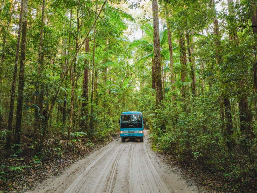 From Hervey Bay: K'gari, Fraser Island Full-Day Coach Tour - The guide can make or break the long drives