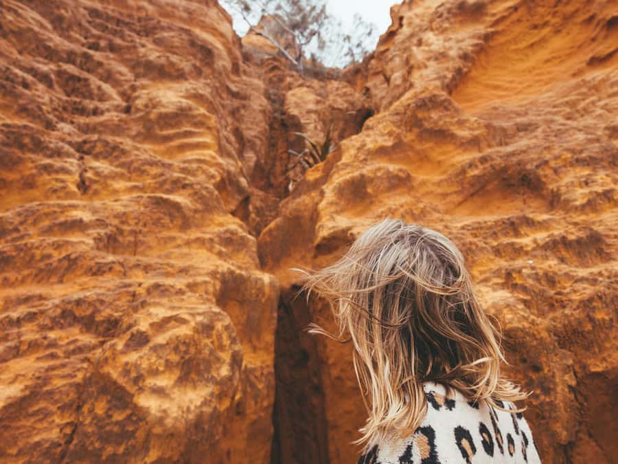 From Hervey Bay: K'gari, Fraser Island Full-Day Coach Tour - Comfort, pace, and what to pack