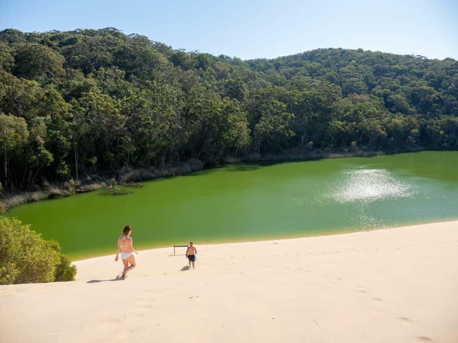 From Hervey Bay: K'gari, Fraser Island Two-Day Coach Tour - Five things to know before you go