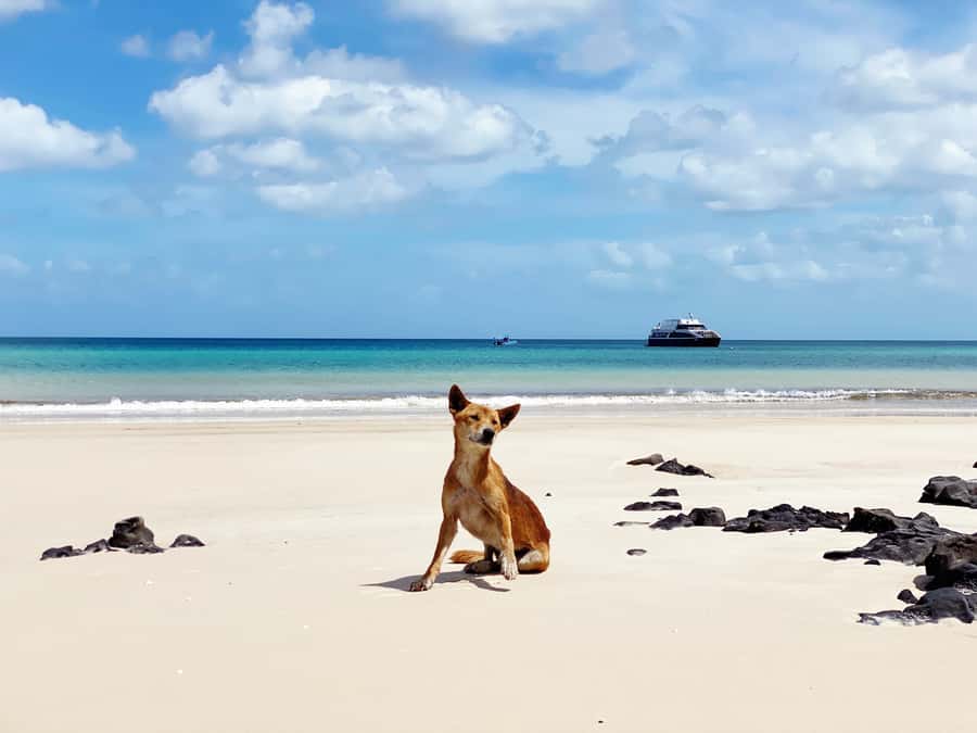 From Hervey Bay: Remote K'gari Tour by Boat with Lunch - Comfort, pace, and what the nine hours feel like
