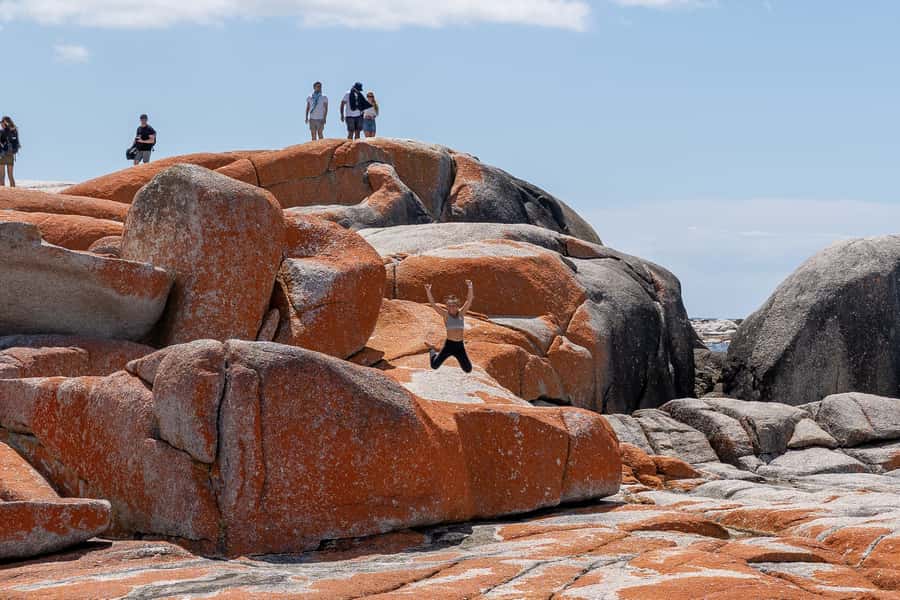 From Hobart: 5-Day Tasmania West & East Coast Tour - Day two: Henty Dunes and the Gordon River choice
