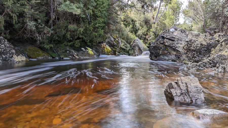 From Hobart: 5-Day Tasmania West & East Coast Tour - Day one: Hobart to Strahan through Tasmania’s wet west
