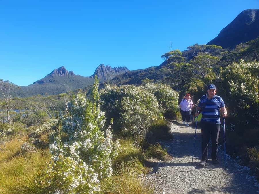 From Hobart: Active Day Trip to Cradle Mountain - Is $184 good value for this day trip?