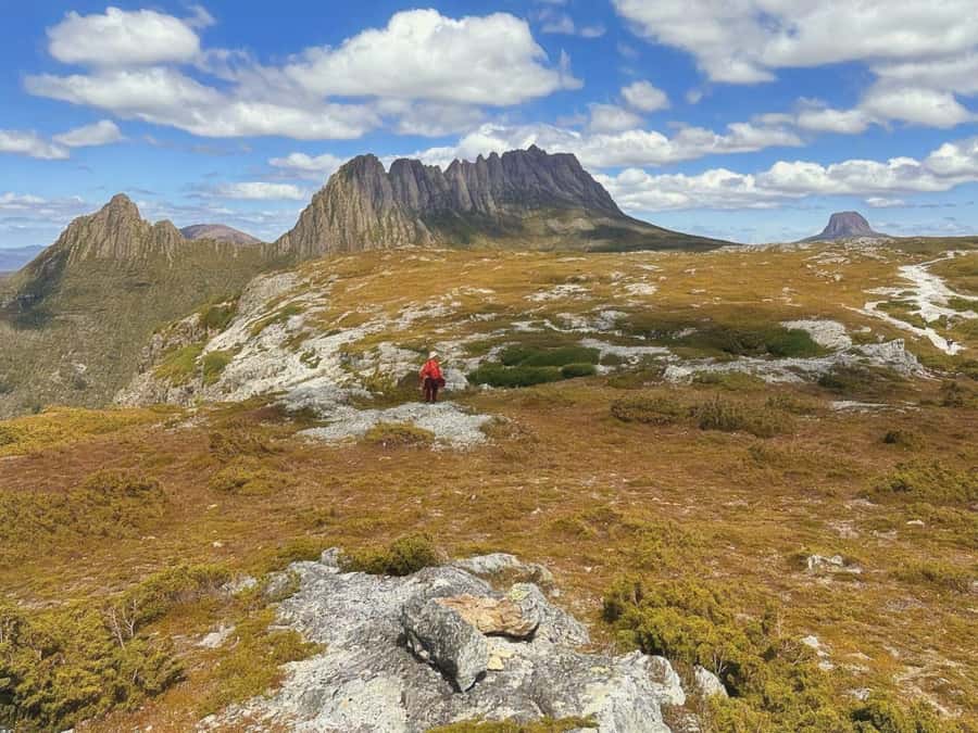 From Hobart: Active Day Trip to Cradle Mountain - Wildlife, forests, and the pleasure of slowing down