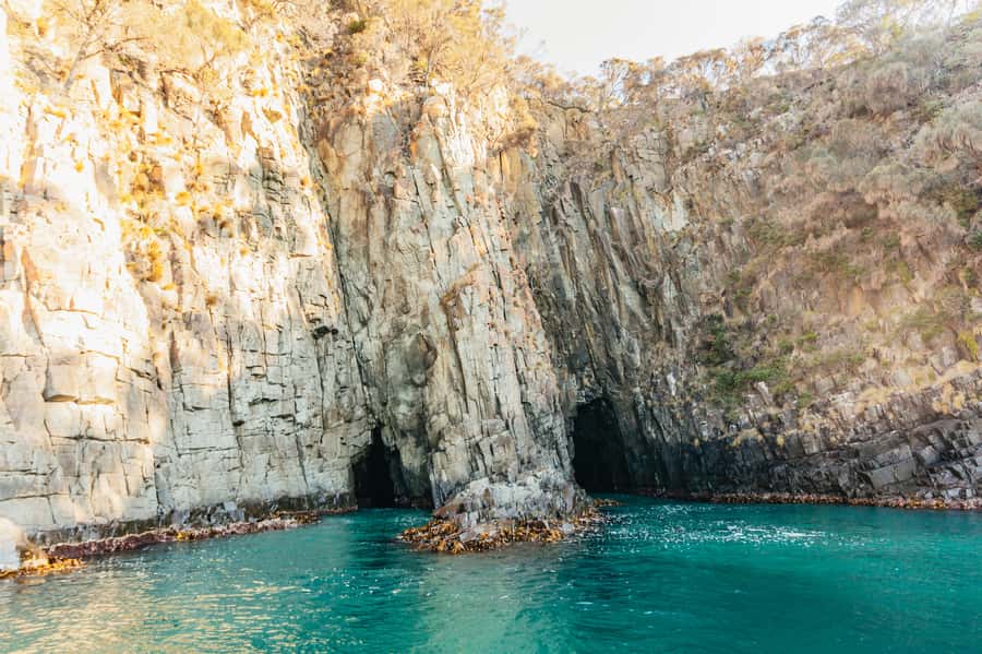 From Hobart/Adventure Bay: Bruny Island Wilderness Cruise - Why this Bruny Island cruise is worth your time