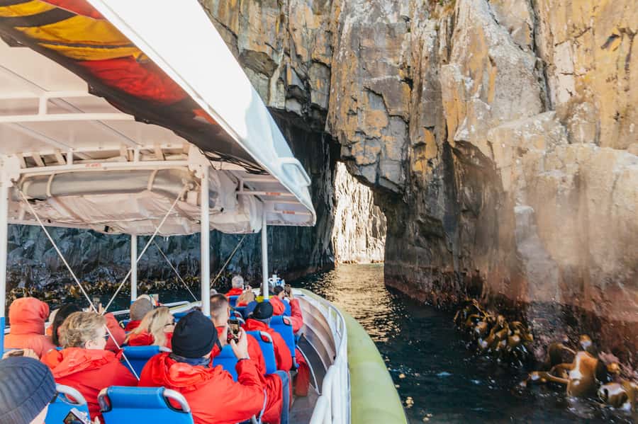 From Hobart/Adventure Bay: Bruny Island Wilderness Cruise - The yellow boats and what the ride feels like