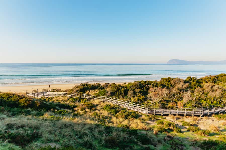 From Hobart/Adventure Bay: Bruny Island Wilderness Cruise - Cliffs, caves, and Breathing Rock