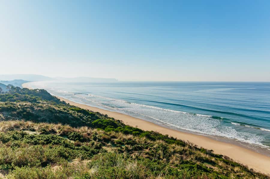 From Hobart/Adventure Bay: Bruny Island Wilderness Cruise - Price, timing, and overall value