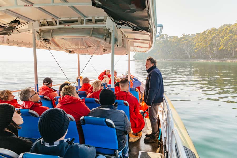 From Hobart/Adventure Bay: Bruny Island Wilderness Cruise - Who should book this wilderness cruise?