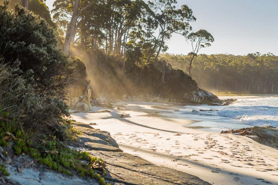 From Hobart: Full-Day Bruny Island Tour with Guide - Five things worth knowing before you book