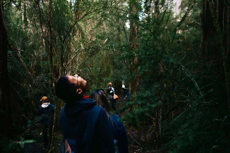 From Hobart: Full-Day Bruny Island Tour with Guide - Why Bruny Island works as a Hobart day trip