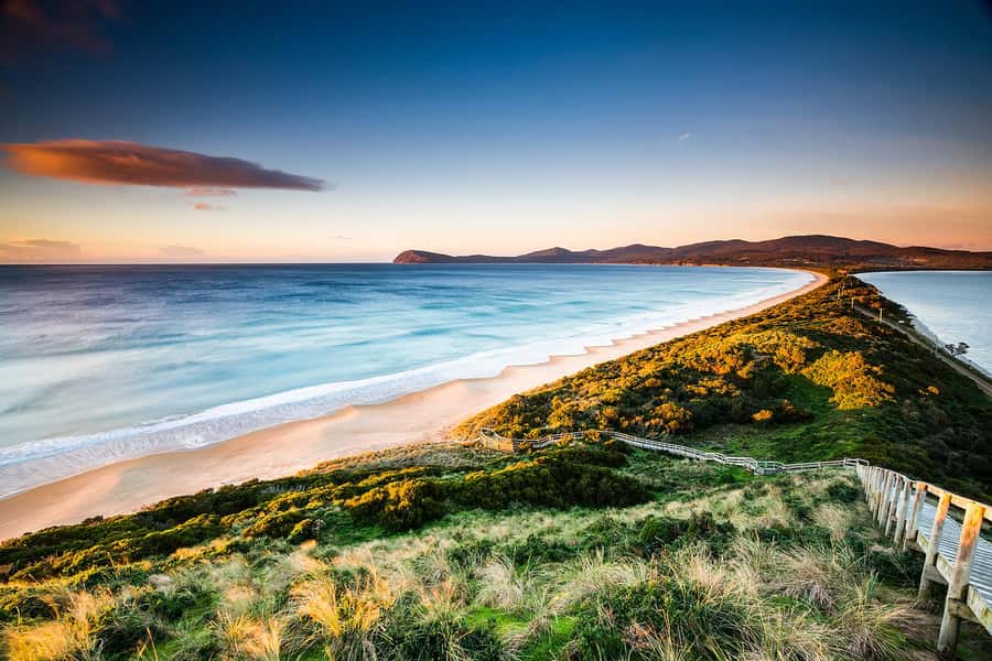 From Hobart: Full-Day Bruny Island Tour with Guide - Looking for wallabies and other island wildlife