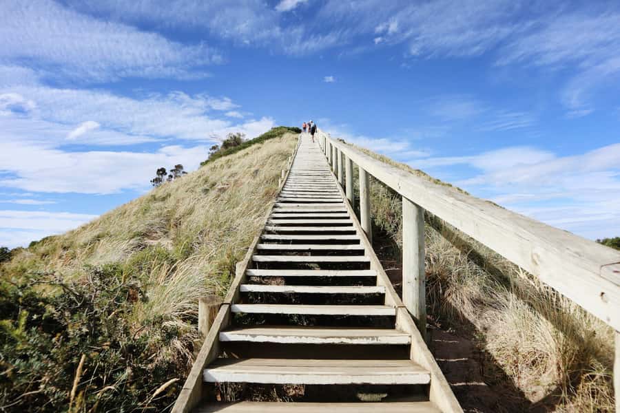 From Hobart: Full-Day Bruny Island Tour with Guide - The Neck lookout and Bruny’s open views