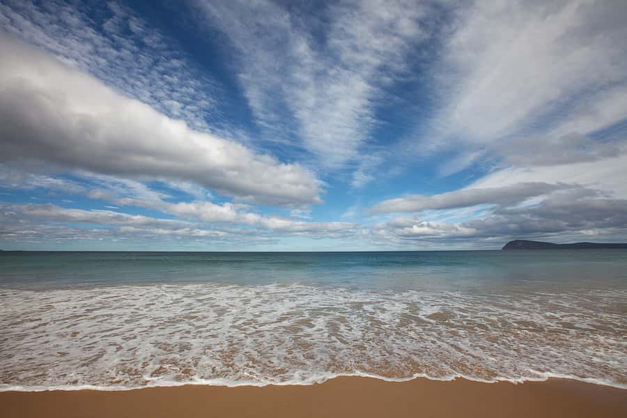 From Hobart: Full-Day Bruny Island Tour with Guide - Honey, oysters, chocolate, and local drinks