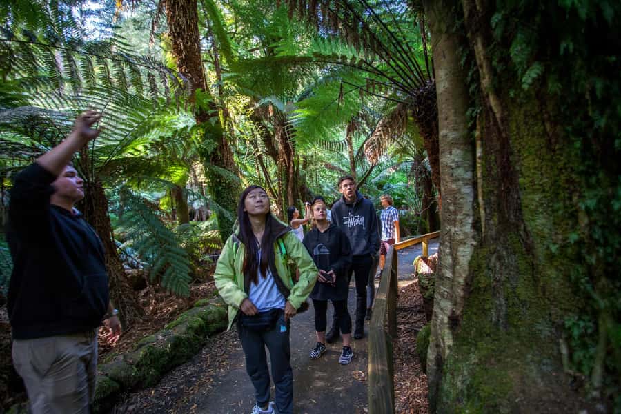 From Hobart: Mt. Field, Mt. Wellington and Wildlife Day Tour - Why this Hobart day tour works so well