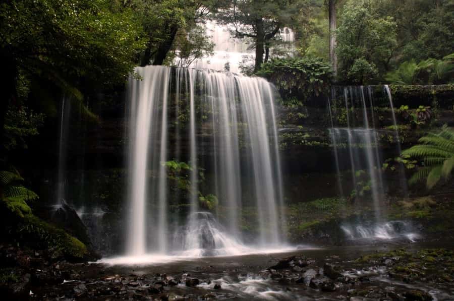 From Hobart: Mt. Field, Mt. Wellington and Wildlife Day Tour - Mount Field’s Three Falls Circuit