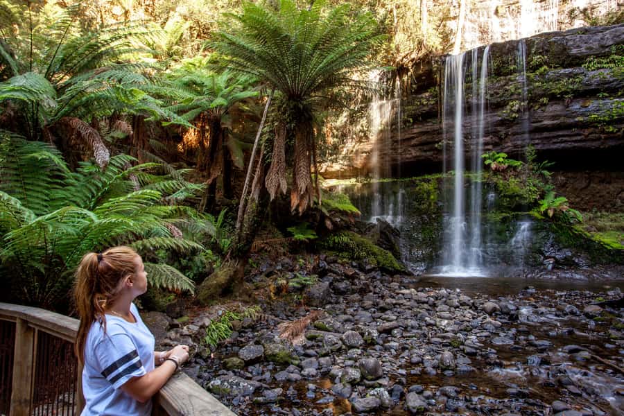 From Hobart: Mt. Field, Mt. Wellington and Wildlife Day Tour - Is $130 good value?
