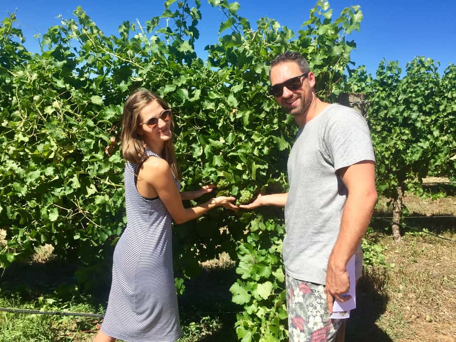 From Margaret River: Margaret River Wine Adventure - How much value do you get for $123?