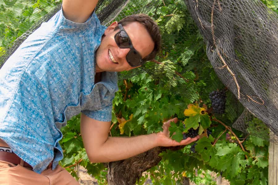 From Margaret River: Margaret River Wine Adventure - Hotel pickup starts the day without fuss