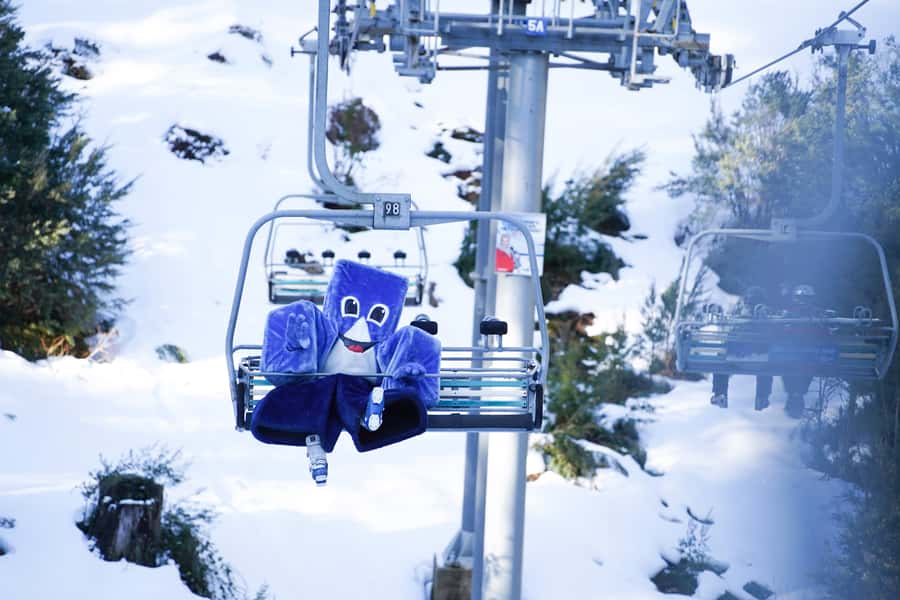 From Melbourne: Day Trip to Mt Buller by Premium Tour Coach - The three-hour ride through Victoria’s high country
