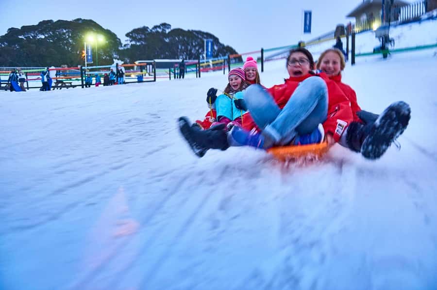 From Melbourne: Day Trip to Mt Buller by Premium Tour Coach - Meeting at Southern Cross Station