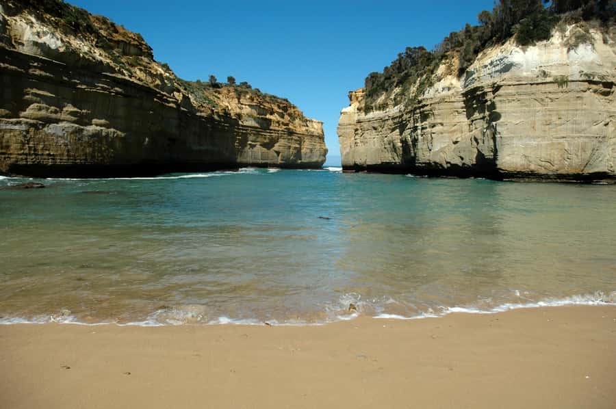 From Melbourne: Great Ocean Road, 12 Apostles, Wildlife Tour - Searching for Koalas and Parrots in the Wild
