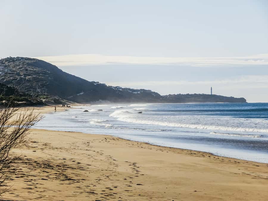 From Melbourne: Great Ocean Road, 12 Apostles, Wildlife Tour - Loch Ard Gorge, Razorback, and Island Archway