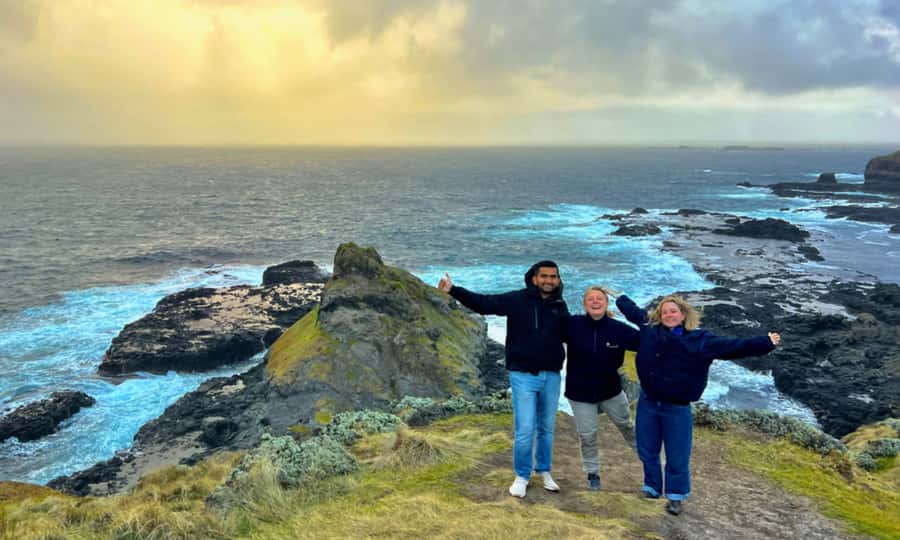 From Melbourne: Penguin Parade Afternoon Tour - The Nobbies is more than a quick photo stop