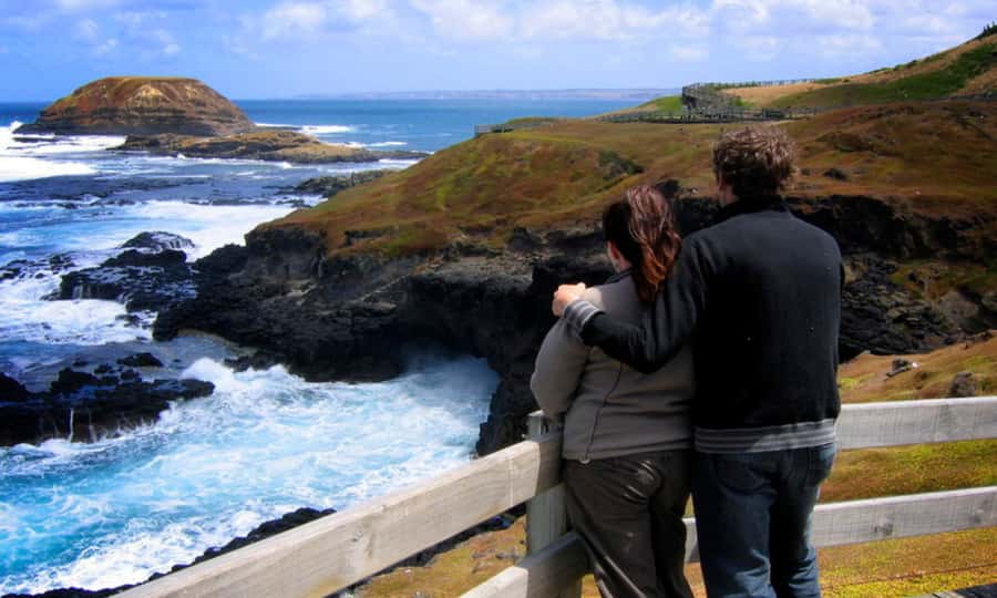 From Melbourne: Penguin Parade Afternoon Tour - Food, comfort, and the return to Melbourne