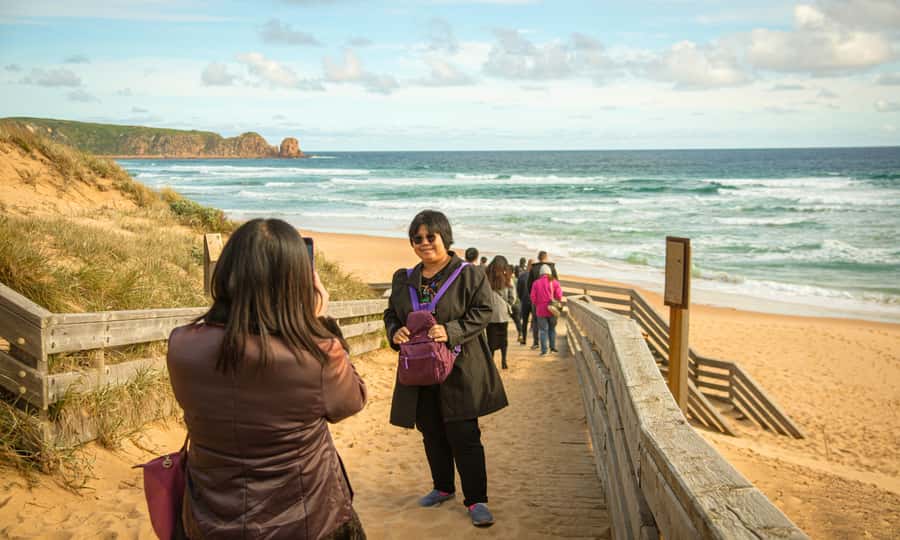 From Melbourne: Penguin Parade Afternoon Tour - Is $95 good value?