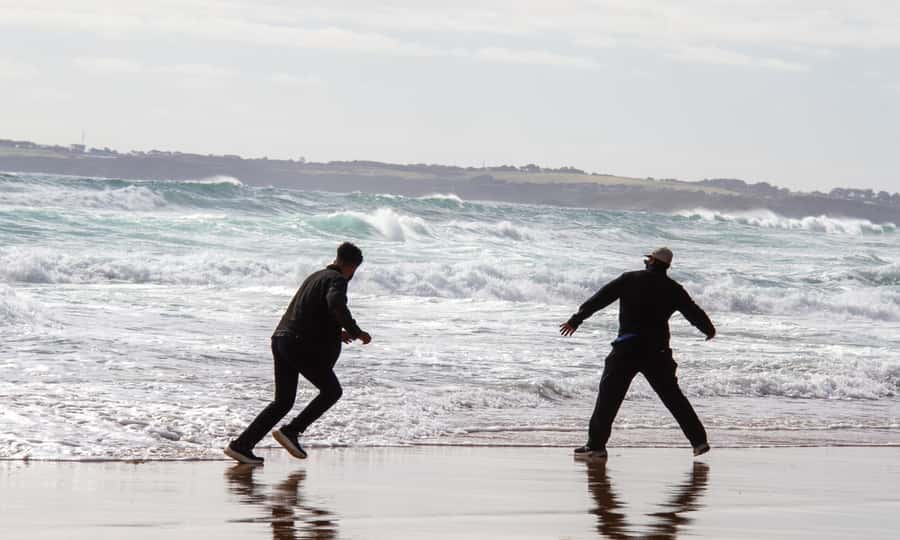 From Melbourne: Penguin Parade Afternoon Tour - Who should book this Phillip Island trip?