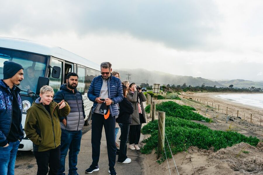 From Melbourne: Penguin Parade, Koalas & Kangaroos - What the bus ride is really like