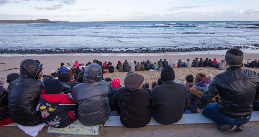 From Melbourne: Penguin Parade, Koalas & Kangaroos - The morning begins at Brighton Beach Boxes