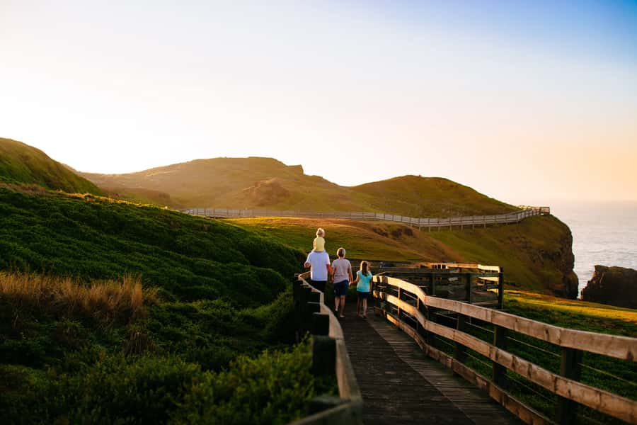 From Melbourne: Penguins and Wildlife Nature Day Tour - Six things to know before you book