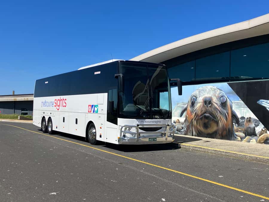 From Melbourne: Phillip Is Penguin Parade & Koala Reserve - Seal Rocks and the Nobbies boardwalk