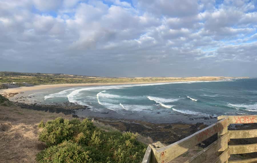 From Melbourne: Phillip Is Penguin Parade & Koala Reserve - Food, comfort, and the long ride home