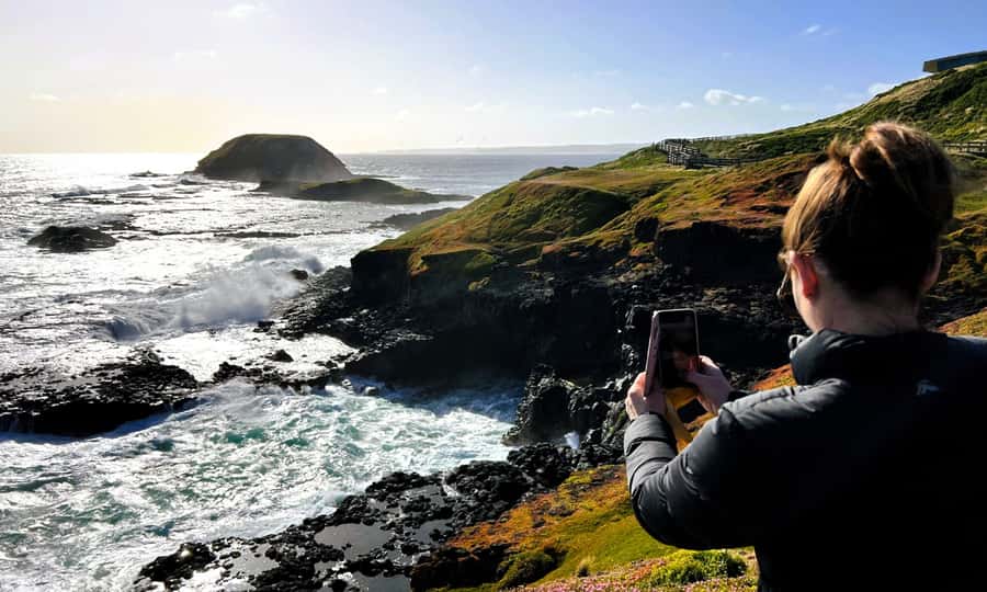 From Melbourne: Phillip Island Penguin Parade Eco Tour - The Penguin Parade: the reason to accept the late night