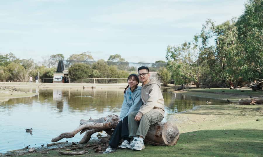 From Melbourne: Phillip Island Penguin Parade Eco Tour - Who should book this day trip?