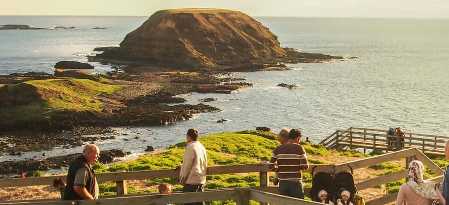From Melbourne: Puffing Billy and Penguin Parade Combo Tour - The guides are a major part of the value